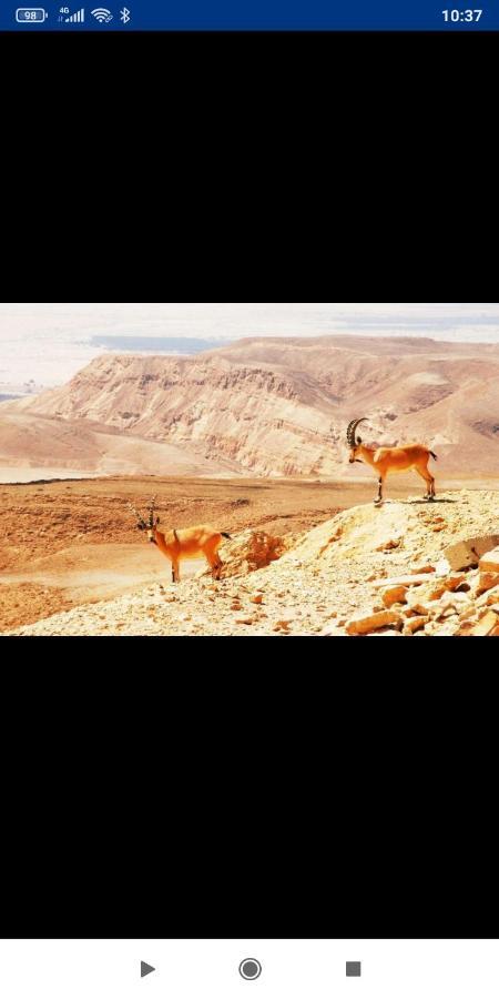 אלת המדברgoddess Of The Desert Be'er Ora Luaran gambar