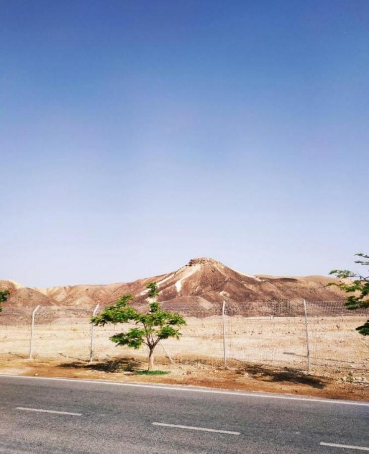 אלת המדברgoddess Of The Desert Be'er Ora Luaran gambar